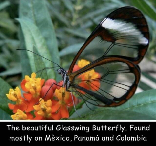 Daily Picdump Daily Picdump