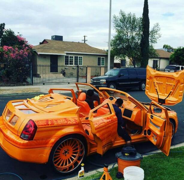 Daily Picdump Daily Picdump