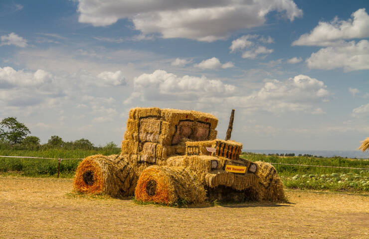 Daily Picdump Daily Picdump