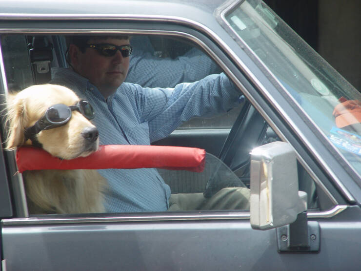 Daily Picdump Daily Picdump