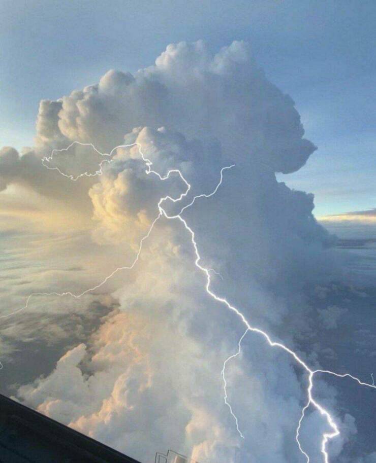 Daily Picdump Daily Picdump