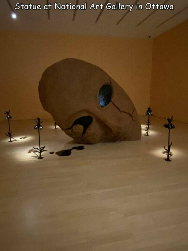 Daily Picdump Daily Picdump