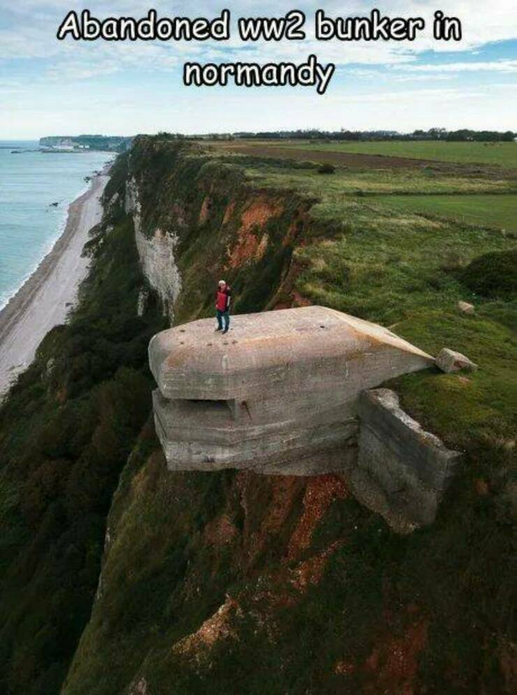 Daily Picdump Daily Picdump