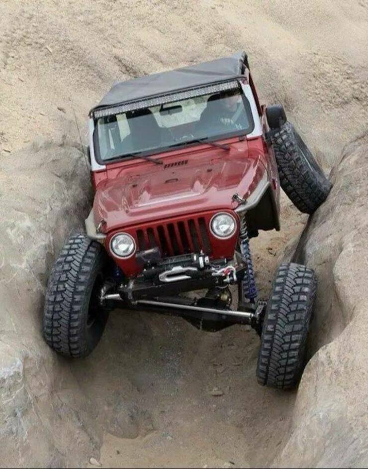 Daily Picdump Daily Picdump