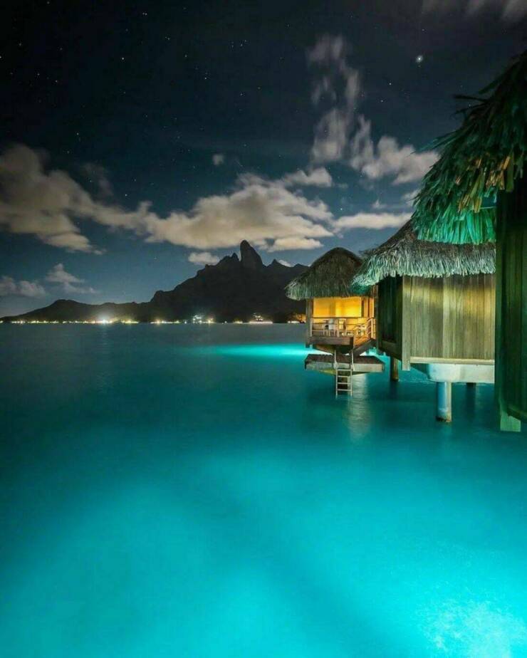 Daily Picdump Daily Picdump