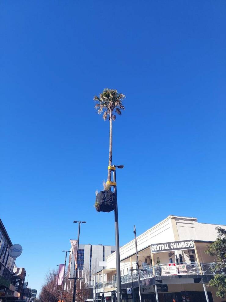 Daily Picdump Daily Picdump