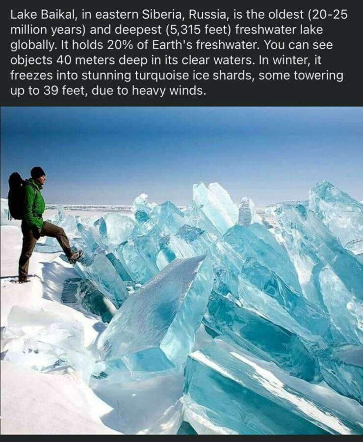 Daily Picdump Daily Picdump