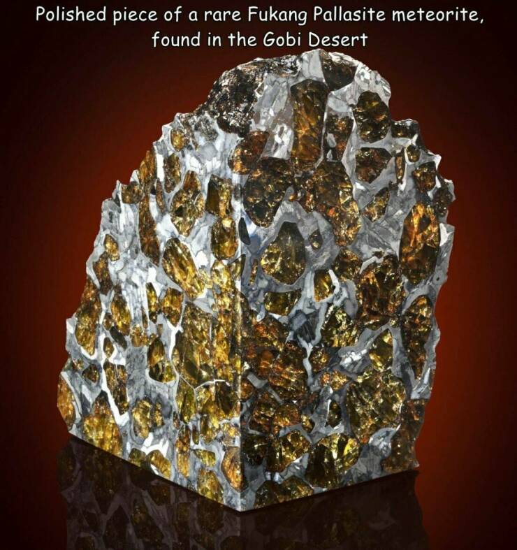 Daily Picdump Daily Picdump