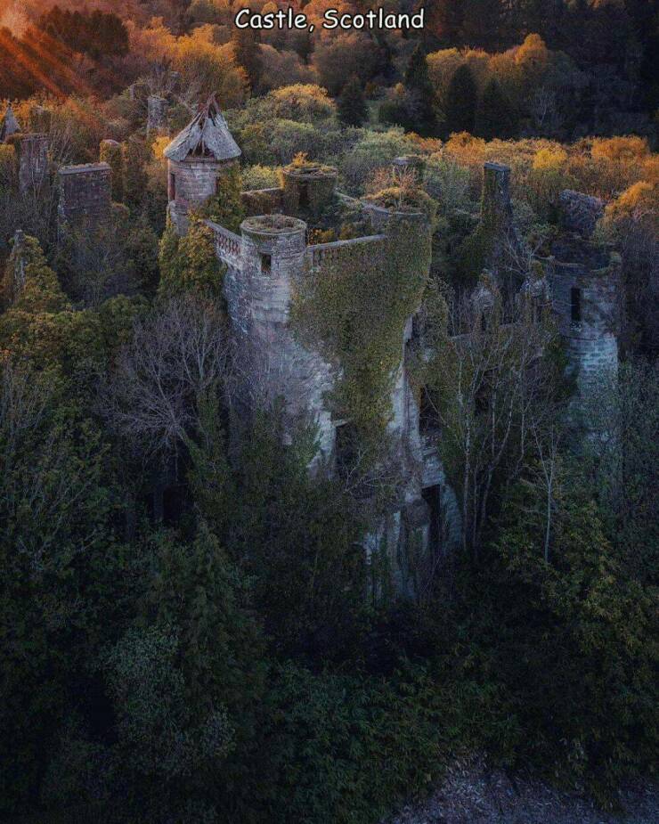 Daily Picdump Daily Picdump