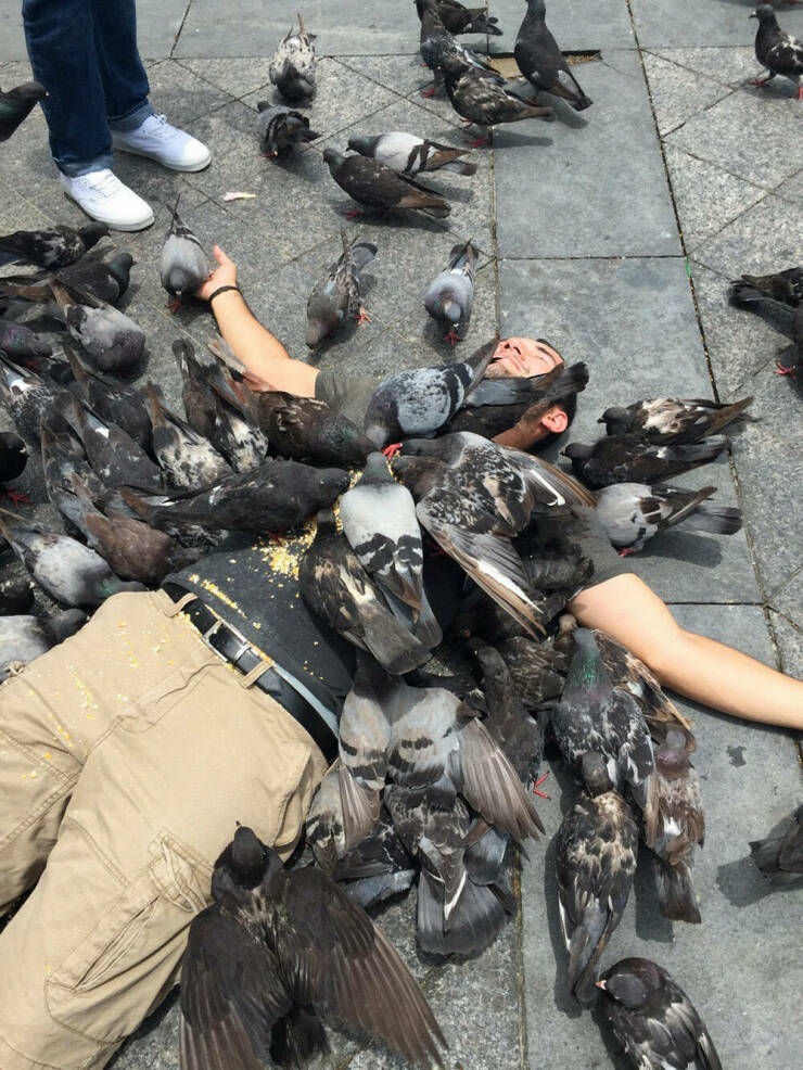 Daily Picdump Daily Picdump