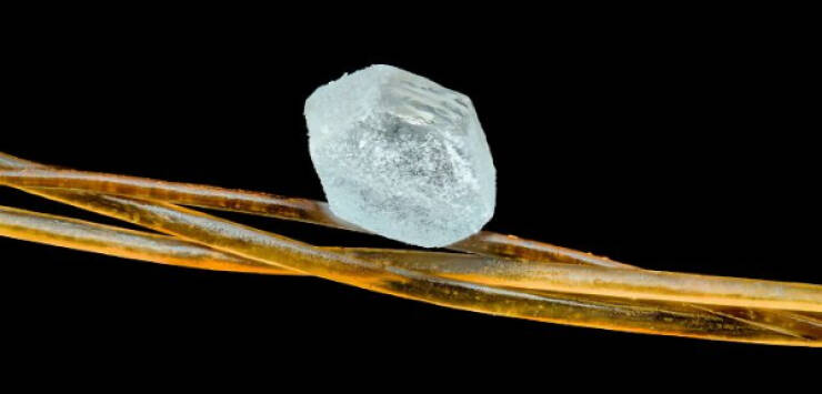 The Hidden Beauty of the Microscopic World