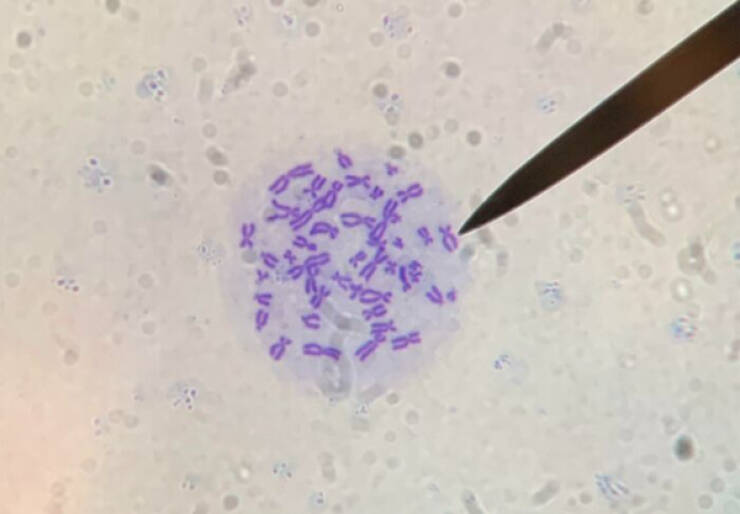 The Hidden Beauty of the Microscopic World