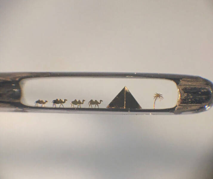 The Hidden Beauty of the Microscopic World