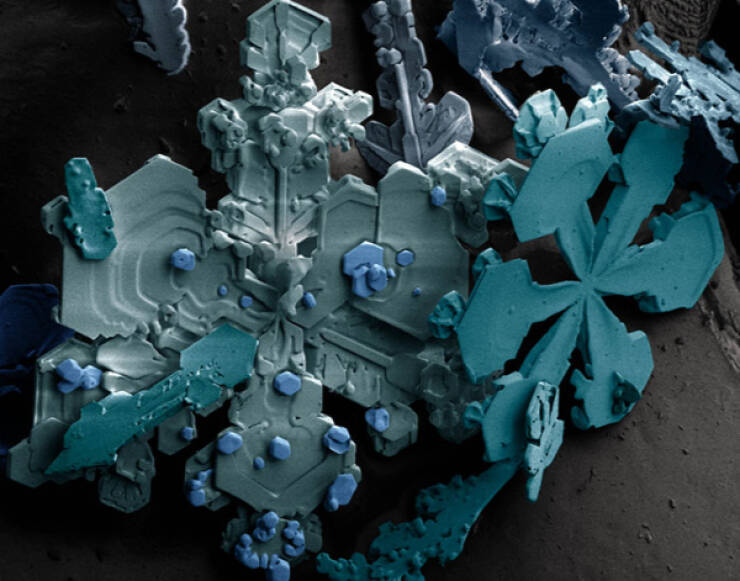 The Hidden Beauty of the Microscopic World