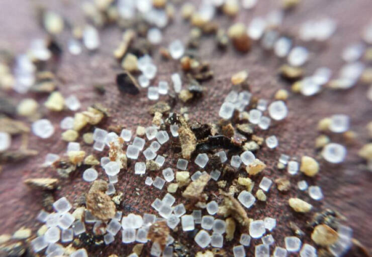 The Hidden Beauty of the Microscopic World