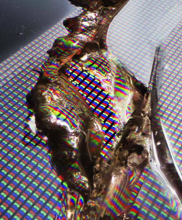 The Hidden Beauty of the Microscopic World