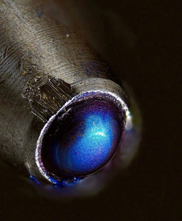 The Hidden Beauty of the Microscopic World