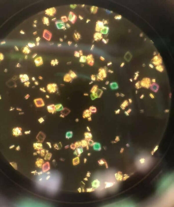 The Hidden Beauty of the Microscopic World