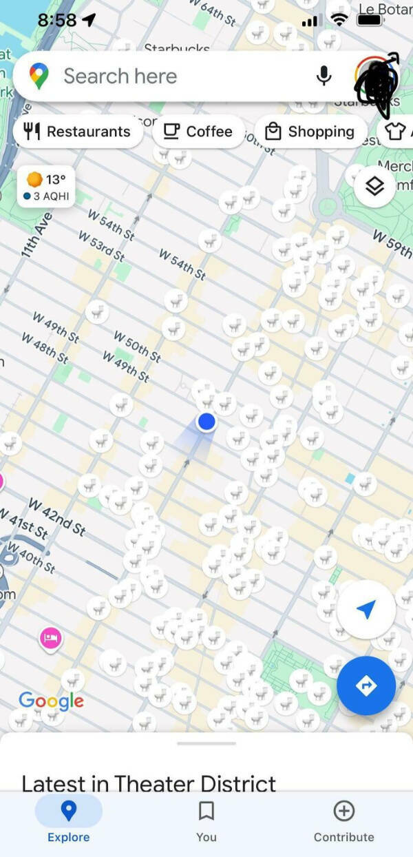 Unforgettable Moments Accidentally Caught on Google Maps