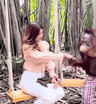 Daily Gifdump Daily Gifdump