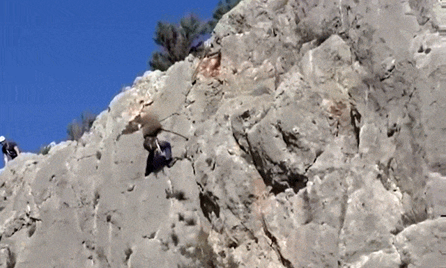 Daily Gifdump Daily Gifdump