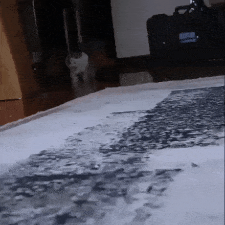 Daily Gifdump Daily Gifdump