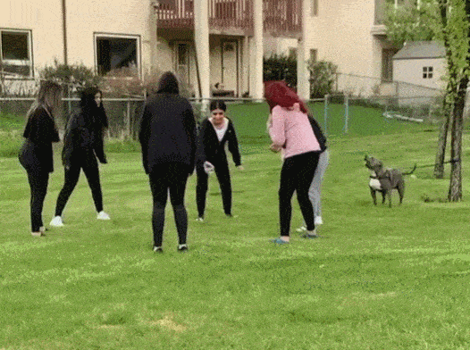 Daily Gifdump Daily Gifdump