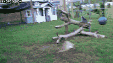 Daily Gifdump Daily Gifdump