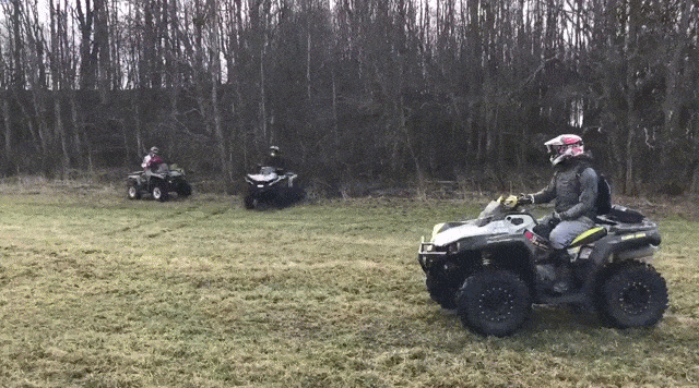 Daily Gifdump Daily Gifdump