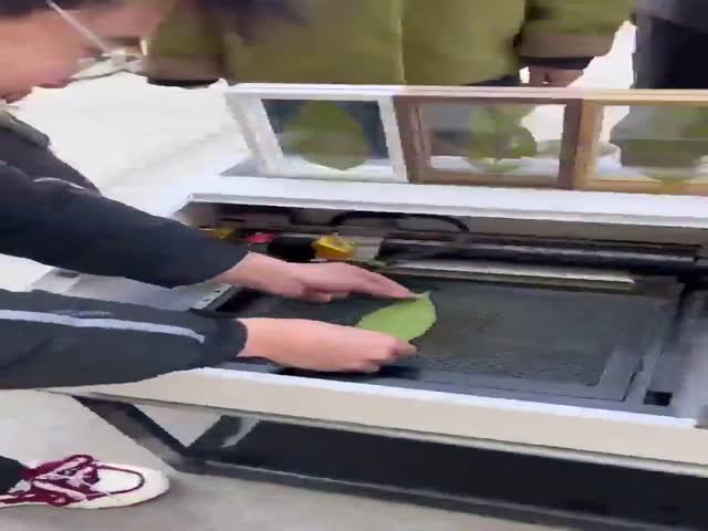 Engraving a Leaf With UV Laser