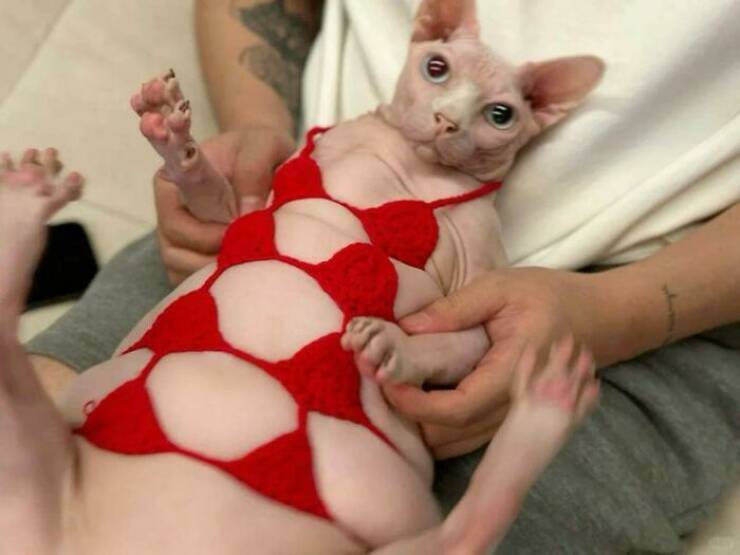 Cute... But Also Terrifying Animal Moments Cute... But Also Terrifying Animal Moments