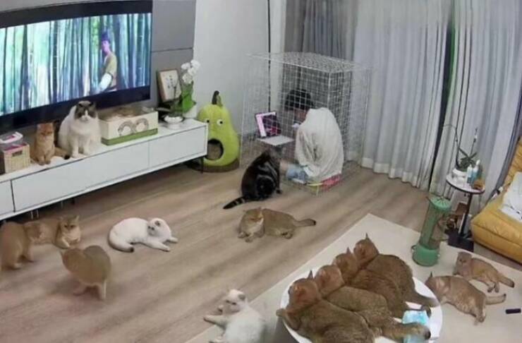 Cute... But Also Terrifying Animal Moments Cute... But Also Terrifying Animal Moments