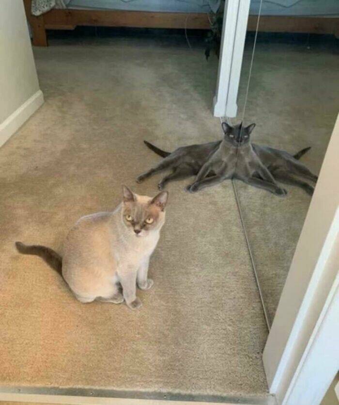 Cute... But Also Terrifying Animal Moments Cute... But Also Terrifying Animal Moments