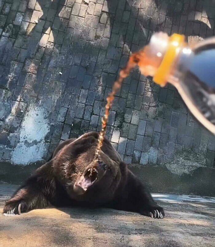 Cute... But Also Terrifying Animal Moments Cute... But Also Terrifying Animal Moments