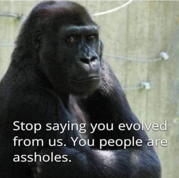 Grumpy Dad Vibes Grumpy Dad Vibes