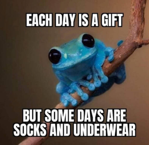 Grumpy Dad Vibes Grumpy Dad Vibes