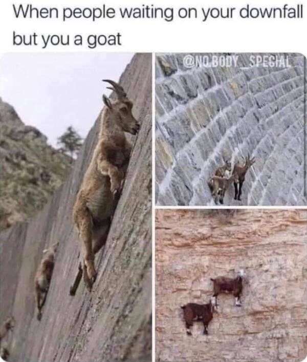 Grumpy Dad Vibes Grumpy Dad Vibes