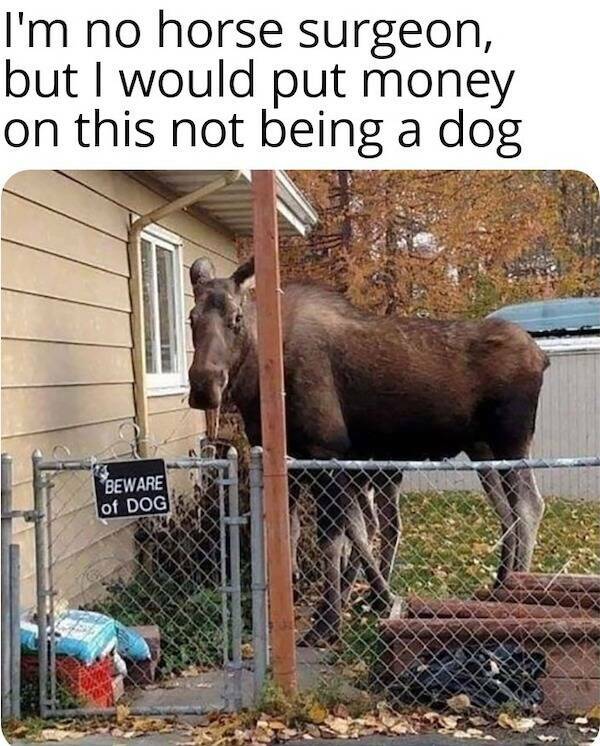 Grumpy Dad Vibes Grumpy Dad Vibes