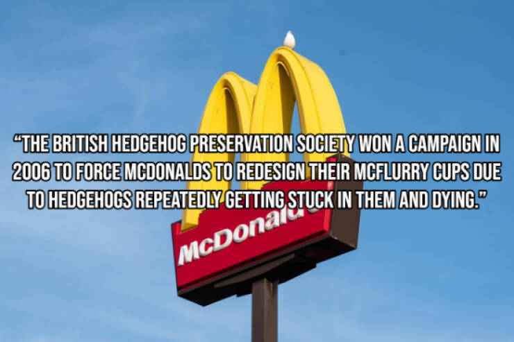 Little-Known Facts About McDonald’s You’ll Want to Share Little-Known Facts About McDonald’s You’ll Want to Share
