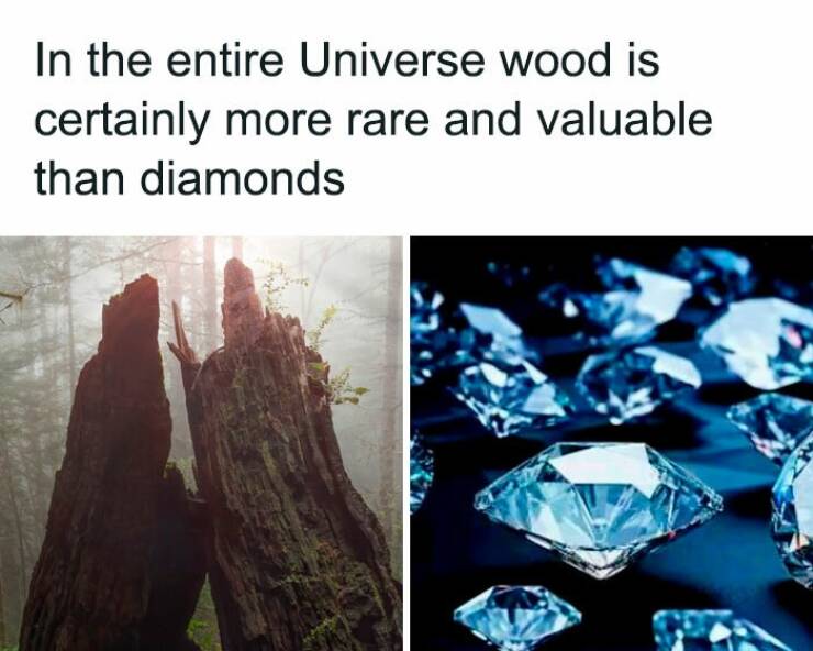 Mass + Velocity = Hilarious Physics Humor Mass + Velocity = Hilarious Physics Humor