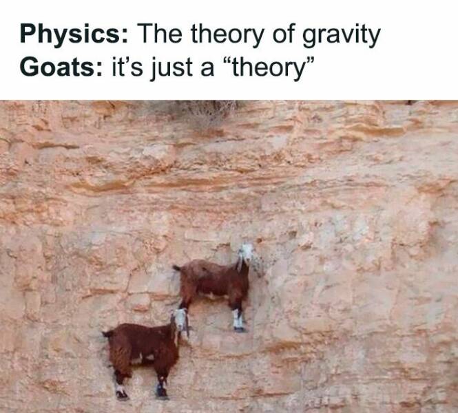 Mass + Velocity = Hilarious Physics Humor Mass + Velocity = Hilarious Physics Humor