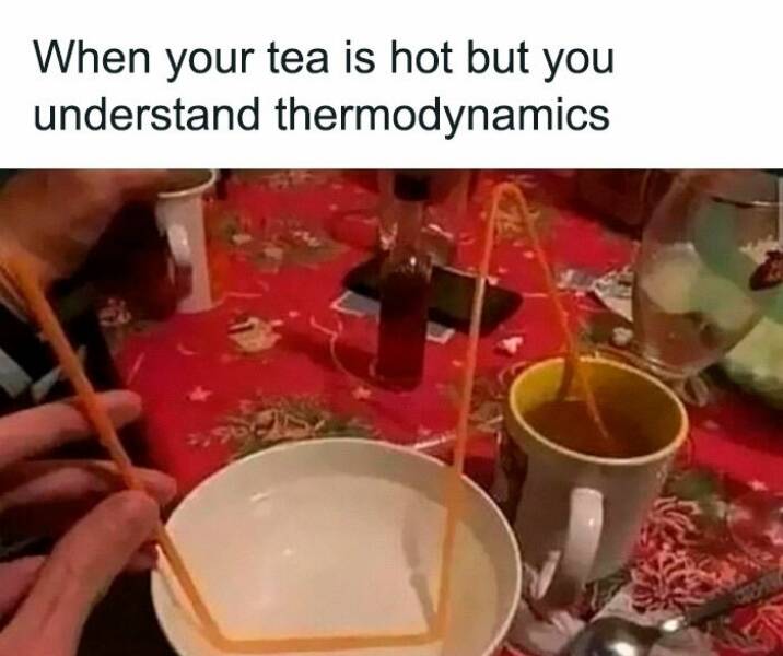 Mass + Velocity = Hilarious Physics Humor Mass + Velocity = Hilarious Physics Humor