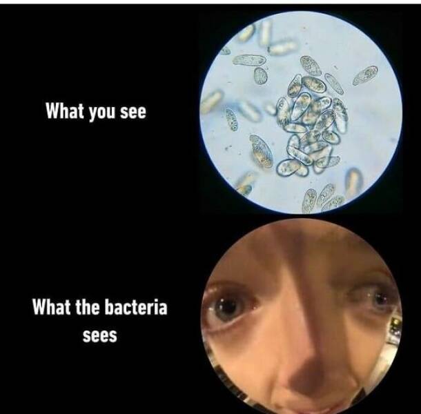 Mass + Velocity = Hilarious Physics Humor Mass + Velocity = Hilarious Physics Humor