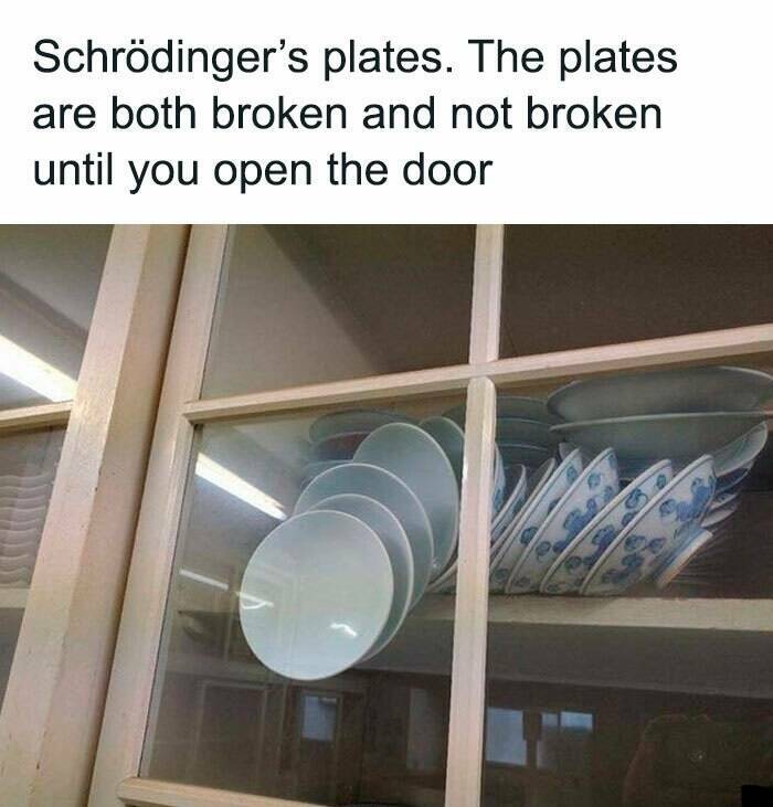 Mass + Velocity = Hilarious Physics Humor Mass + Velocity = Hilarious Physics Humor