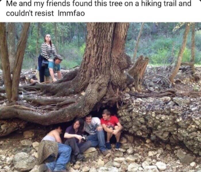 One Meme to Rule Them All