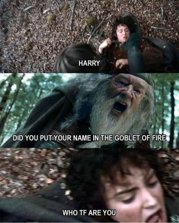 One Meme to Rule Them All