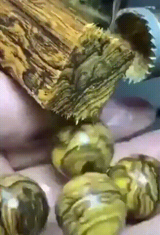 Daily Gifdump Daily Gifdump