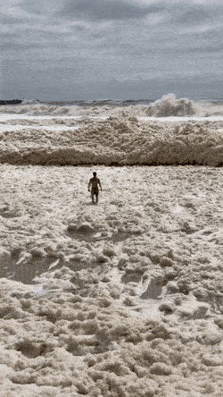 Daily Gifdump Daily Gifdump