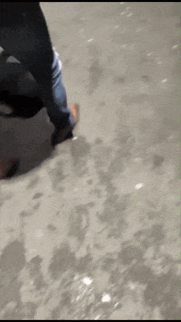 Daily Gifdump Daily Gifdump