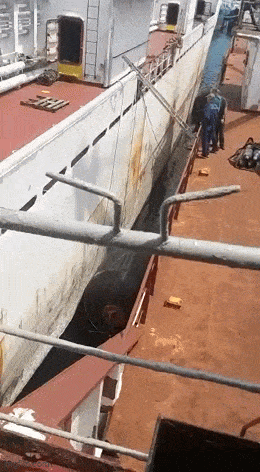 Daily Gifdump Daily Gifdump